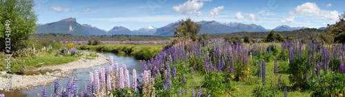 Photography Panoramic view of a small river and mountain range approaching the fiordland area of New Zealand