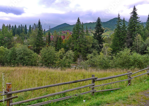The pasture is protected from one side by a natural barrier in the form of trees, and on the other hand by a wooden fence