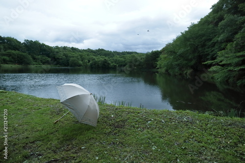 池の畔の日傘のある風景