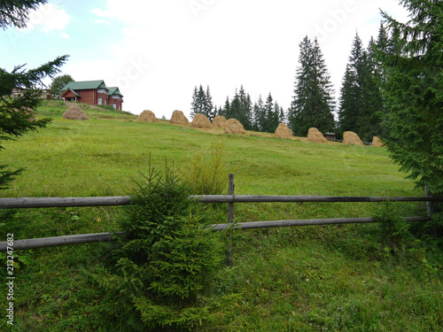 house  a haystack and a wooden fence on the green slope of the mountain  surrounded by green high fir trees under a cloudy sky. place of rest  tourism  picnic