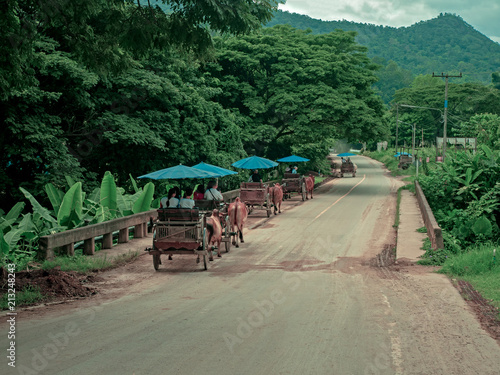 The ox cart at Mae Taman (local name) camp in Mae Tang district in Chiang Mai province , Thailand. This picture is taken