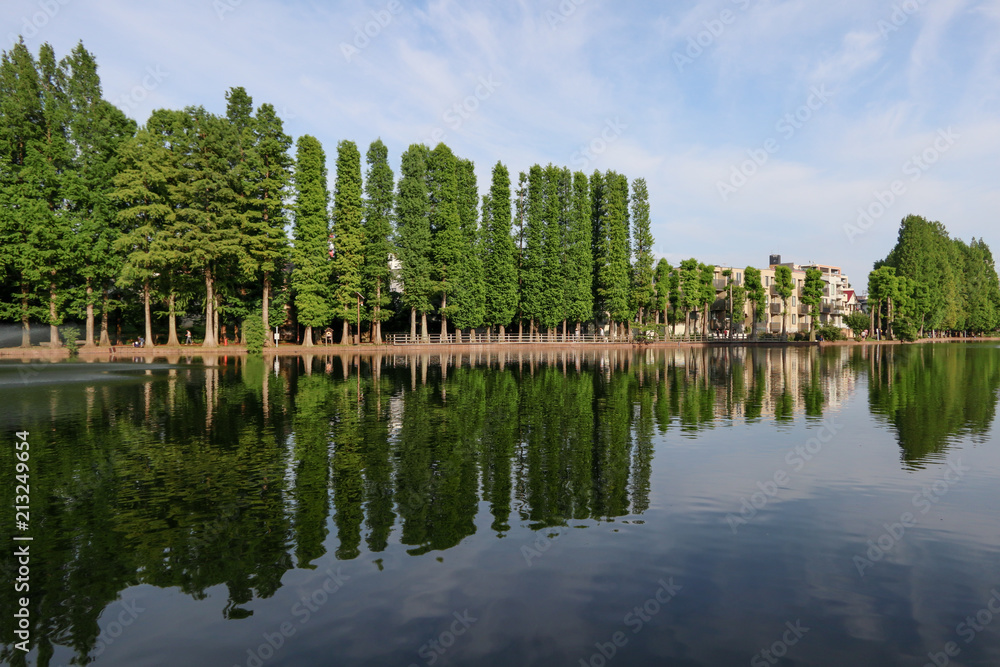 Fototapeta premium 別所沼公園 さいたま市南区