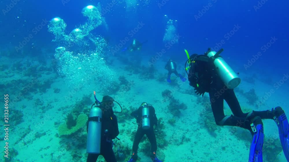 Divers Swims over Coral Reefs Divers Swims over Coral Reefs