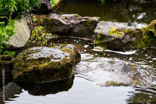 Stones covered with moss in a small brook