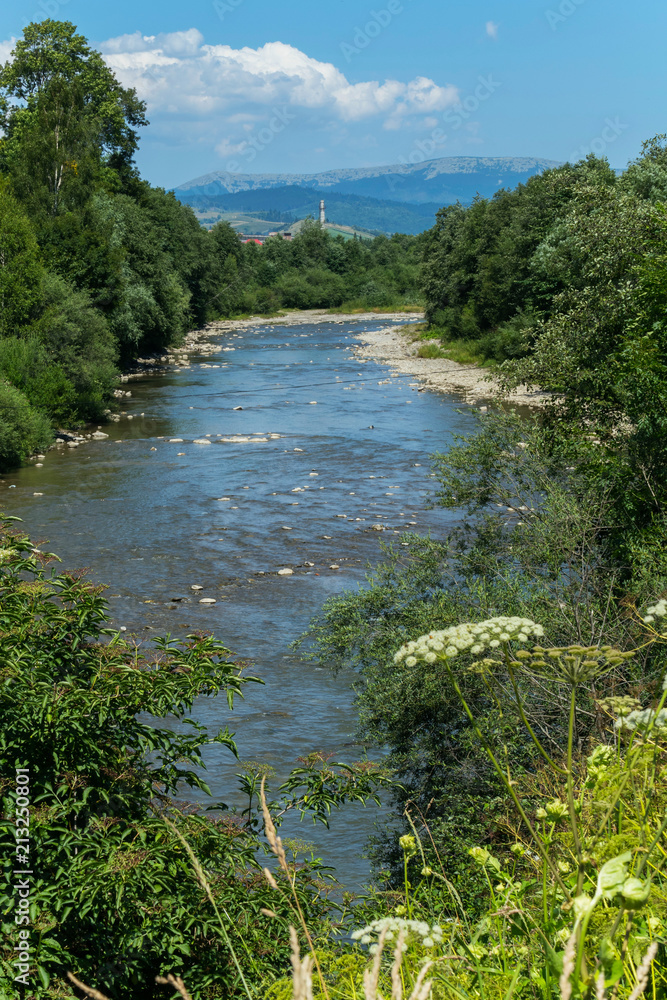 Flowering wildflowers against the blue river, green trees and high mountains Flowering wildflowers against the blue river, green trees and high mountains