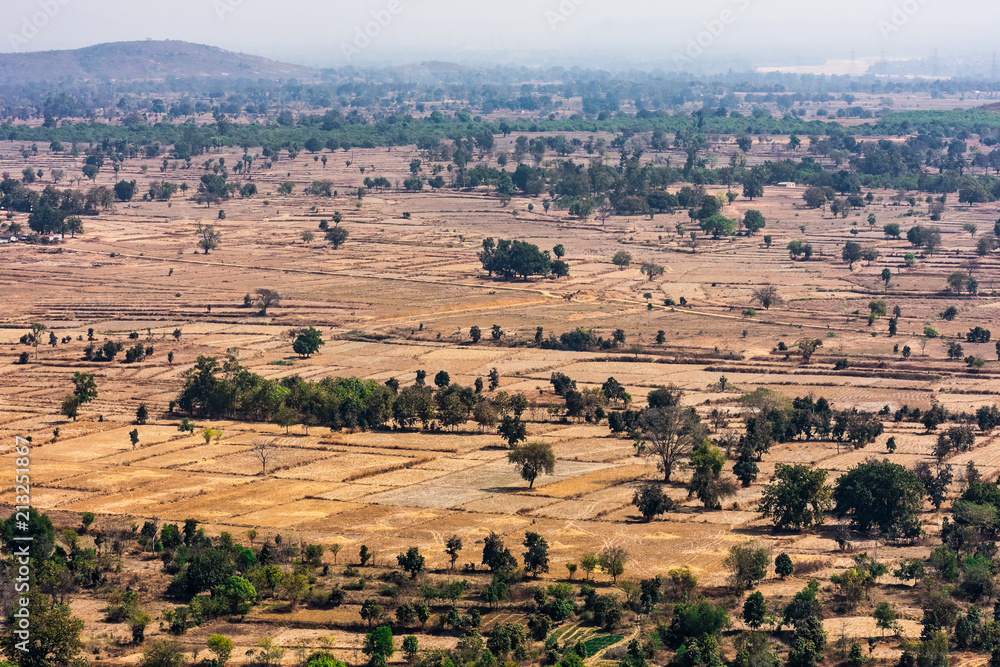 Fototapeta premium Top view or aerial shot from top of a rocky mountain of fresh green and yellow rice fields in sunny day of summer season in rural village of india.