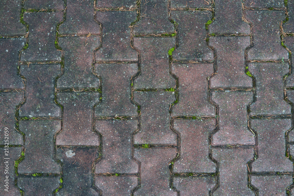 Area with fixed regular interlocking tiles and moss