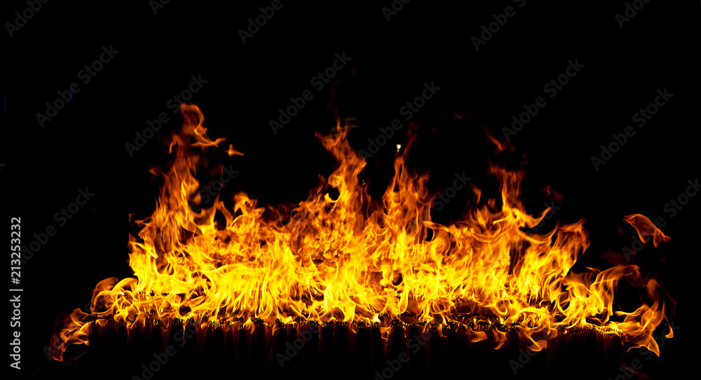 Fire flames on a black background