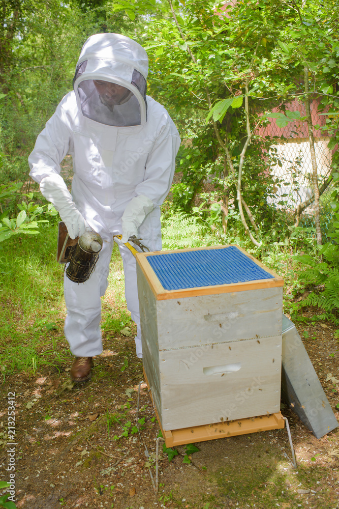 Beekeeper smoking hive