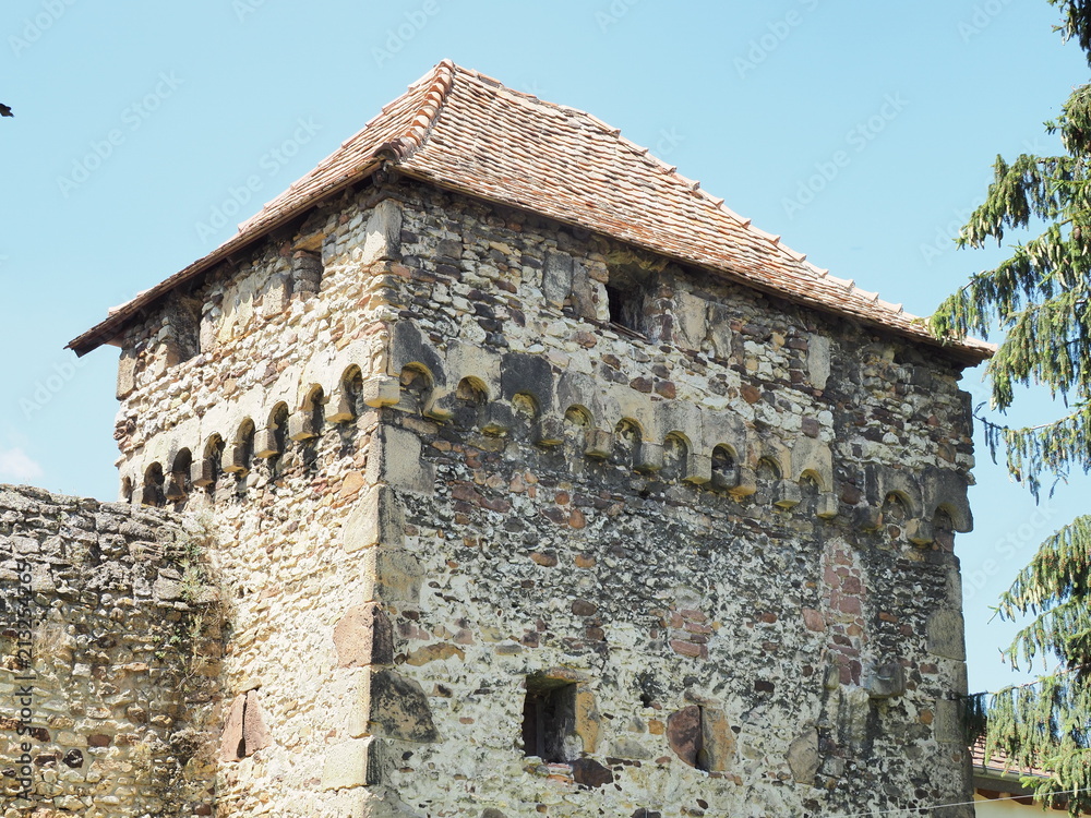 Fototapeta premium Freinsheim - historischen Winzerdorf an der Deutschen Weinstraße 