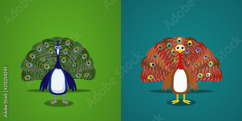 Blue and Brown Turkeys