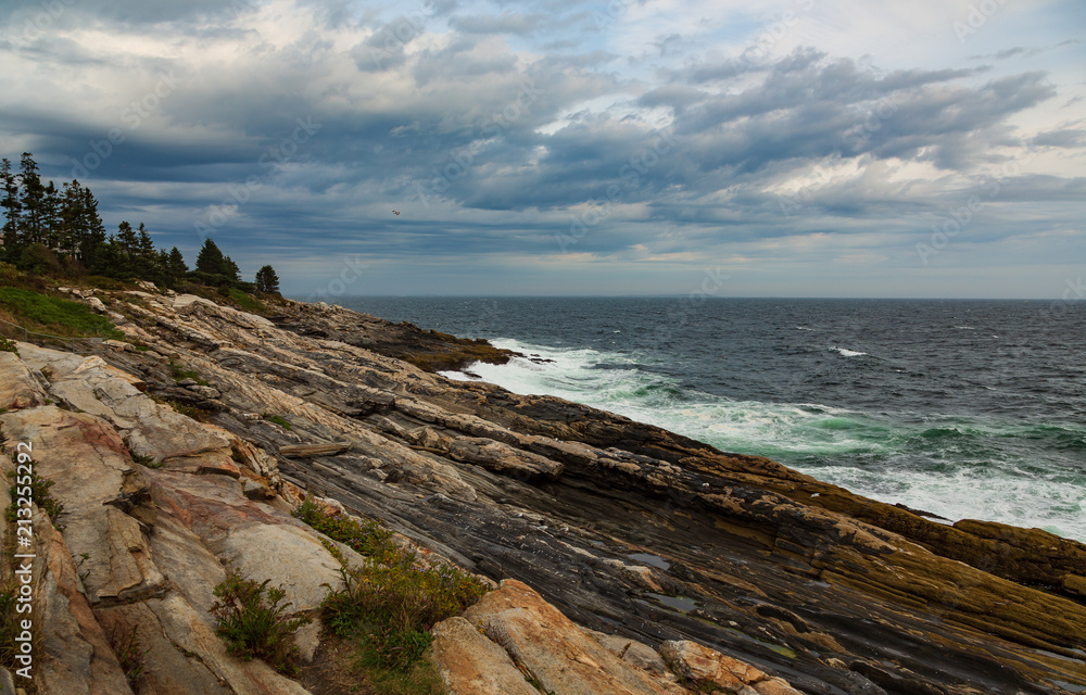 Coast line with cloudy sky and rocky shelf with waves