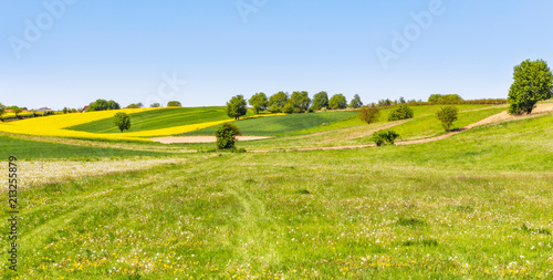 Krajobraz wiejski - łąka i pola rozciągające się po horyzont. Tło natura - łąka i niebo.