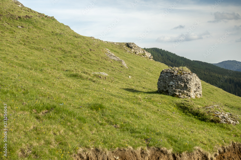 Large rock, with, on a field in Bucegi Mountains, Bucegi National Park, Romania