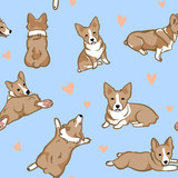 Vector Seamless Welsh Corgi Pattern