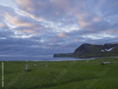 Northern midnight sun landscape, View on cliffs in Hloduvik cove in west fjords nature reserve Hornstrandir in Iceland, with green meadow, sea shore, wood logs and sunset sky, pink blue clouds  photo