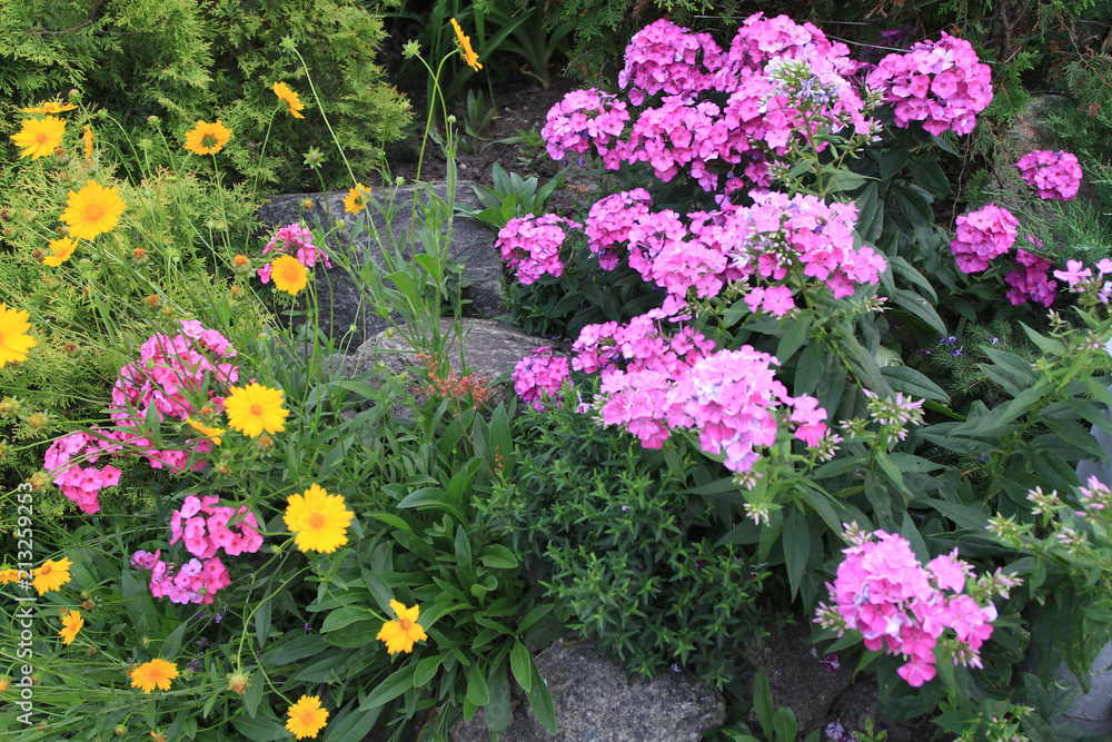 A flower bed with decorative stone boulders and beautiful small pink and orange flowers