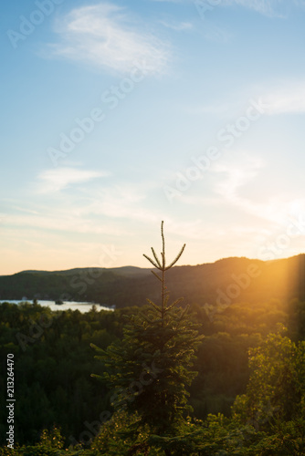 Sunset Entrelacs