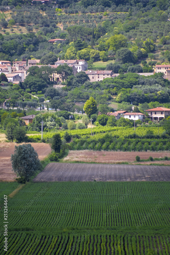 Country landscape of North Italia