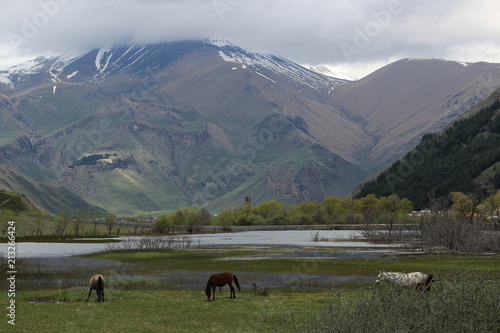 Caucasus mountains in georgia
