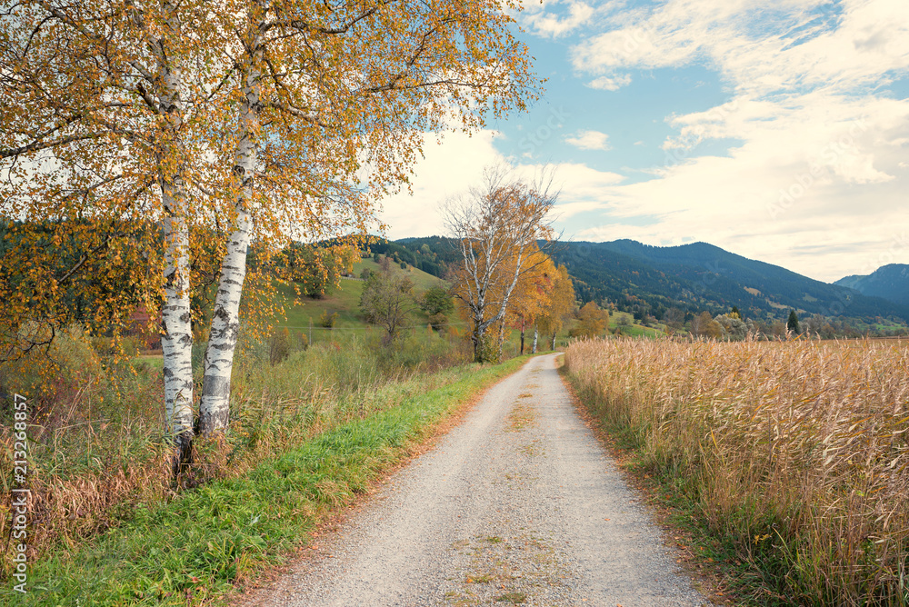 Herbstlicher Wanderweg von Unterammergau nach Oberammergau durchs Moor