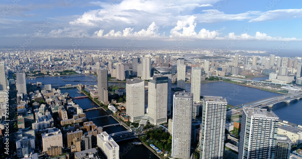 Fototapeta premium tokyo bay in aerial view