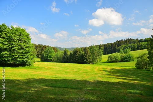 Fototapeta Naklejka Na Ścianę i Meble -  Bavarian landscape with meadows and woods under a blue sky with a few clouds. Upper palatinate, county of Cham, near the village Traitsching.
