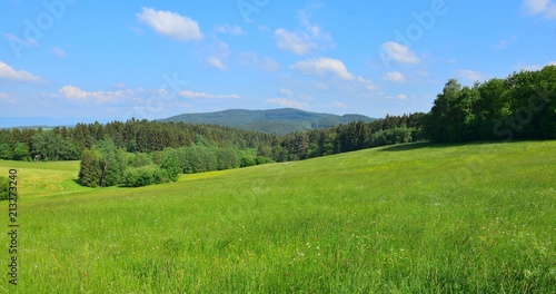 Bavarian landscape with meadows and woods under a blue sky with a few clouds. Upper palatinate  county of Cham  near the village Traitsching.