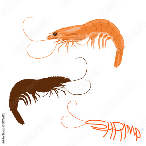 shrimp  vector illustration flat style logo profile 