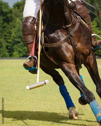 Horse Polo Player with mallet in the game action, close-up