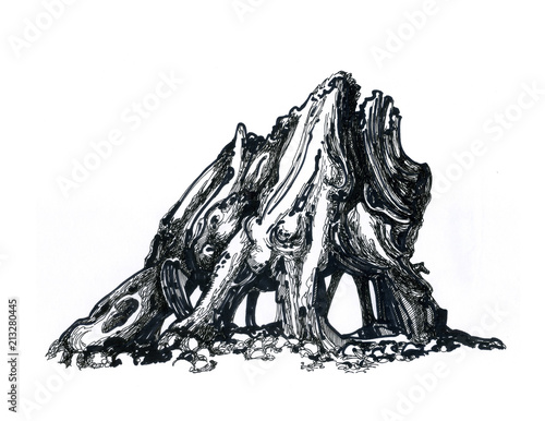 A snag is a stump from the forest.
