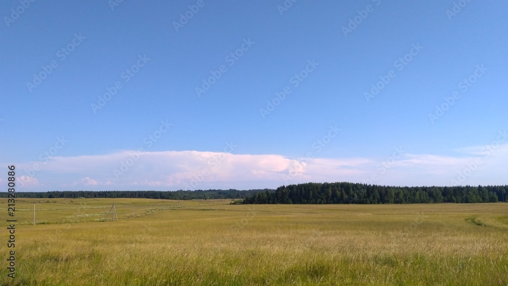 russian field and forest, pathway 1