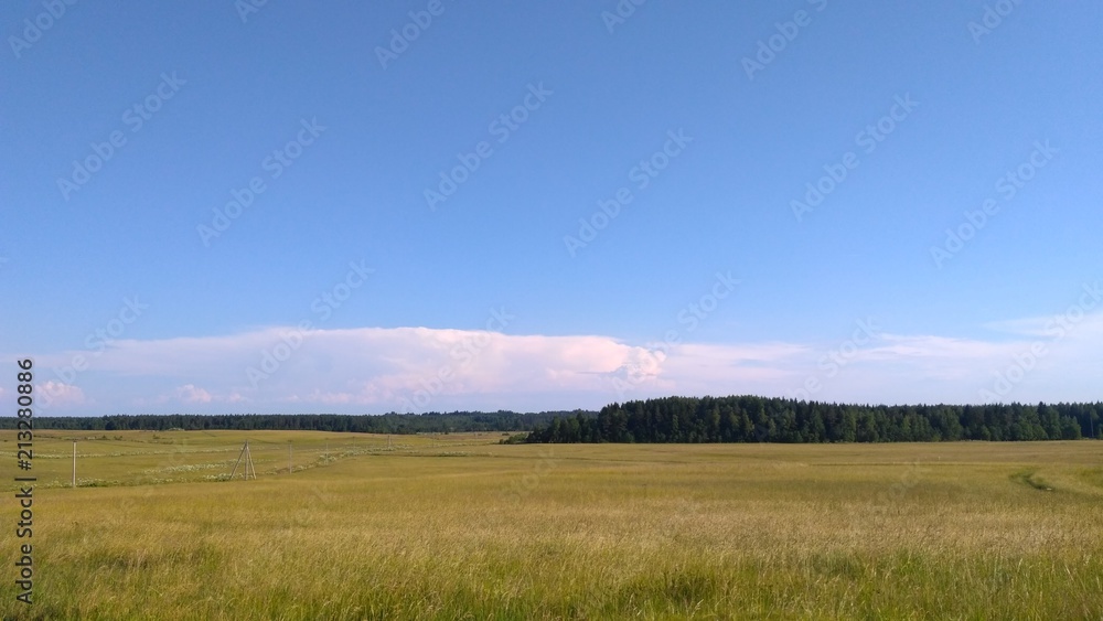 russian field and forest, pathway 1 russian field and forest, pathway 1
