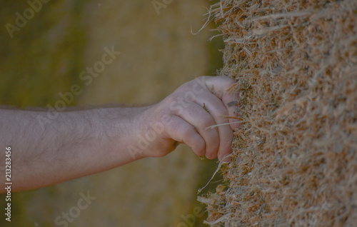 A man on a farm takes a silo sample on a pit photo