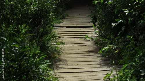 Sentier de randonnée  le long du lac de Guery photo