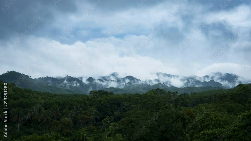 Time lapse shower rain in tropical rainforest at KHAO SOK National Park in Southern Thailand with mist, fog and clouds Time lapse shower rain in tropical rainforest at KHAO SOK National Park in Southern Thailand with mist, fog and clouds