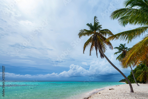 Fototapeta Naklejka Na Ścianę i Meble -  Ocean and tropical coastline in Dominican Republic