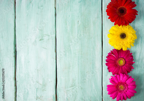 gerbera flower on wooden surface