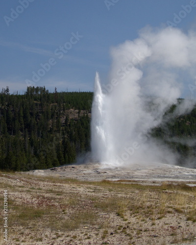 Old Faithful in Yellowstone National Park nears about three quarters of its full eruption height on a sunny summer morning.