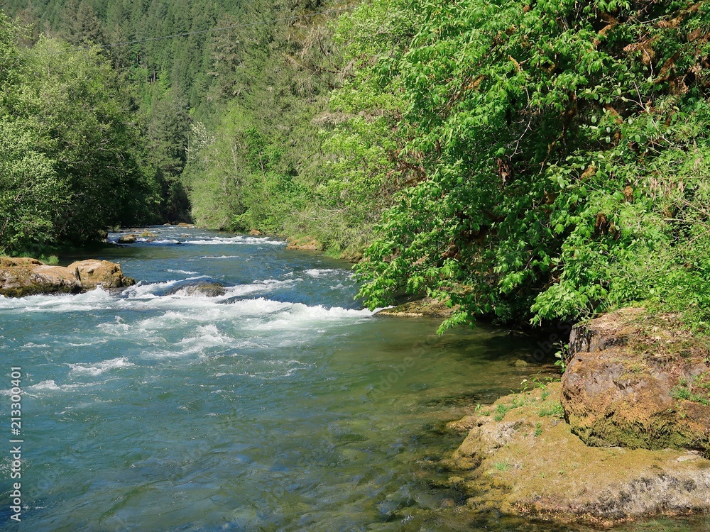 The magnificent turquoise waters of Blue River in the forests of Western Oregon on a sunny summer day 