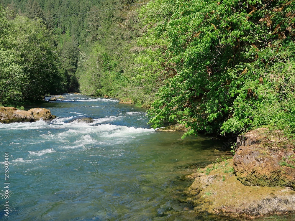 The magnificent turquoise waters of Blue River in the forests of Western Oregon on a sunny summer day The magnificent turquoise waters of Blue River in the forests of Western Oregon on a sunny summer day