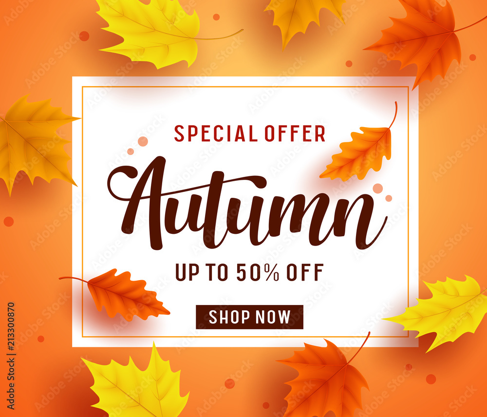 Fototapeta premium Autumn special offer banner template with white space for text and colorful fall season maple leaves elements for discount promotion. Vector illustration. 