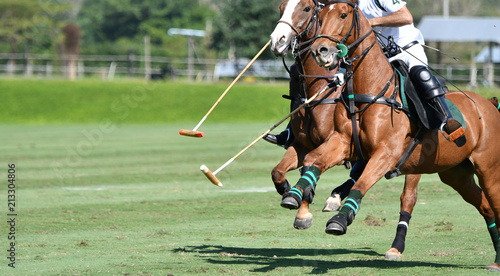 horse speed in polo match