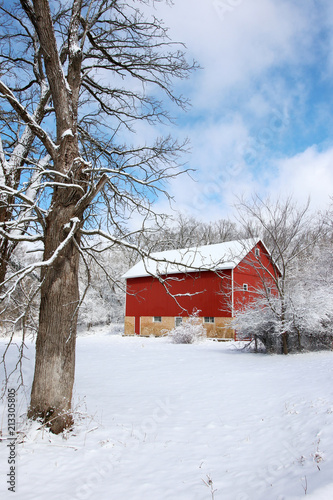 Beautiful snowy winter landscape. Scenic view with red barn in the cowered by fresh snow wood. Agriculture, farming and rural life at winter background.  © Maryna