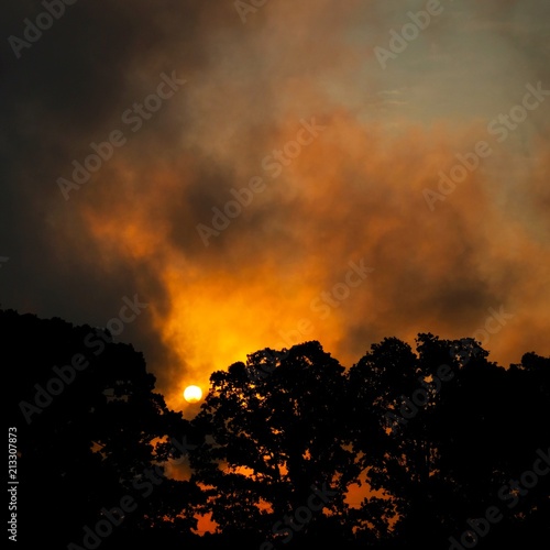 A vivid cloudy sunrise resembling a blazing forest fire © Samuel