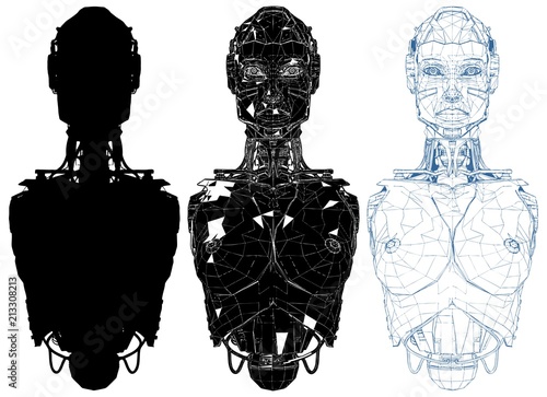 Naked Female Woman Android With Internal Technology Vector Android With Internal Technology Of Their Electrical Circuit.