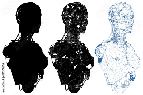 Naked Female Woman Android With Internal Technology Vector Android With Internal Technology Of Their Electrical Circuit.