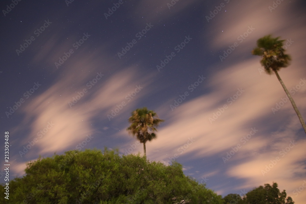 Fototapeta premium Starry Landscape 