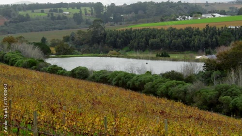 Wallpaper Mural A Lakr at Ernie Els Wine Estate in Stellenbosch South Africa on a cloudy winters day recorded on a Canon 1300D at 25fps at 1080p Torontodigital.ca