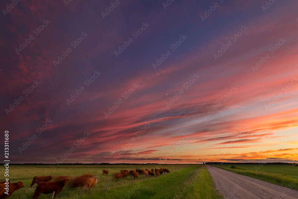 Peaceful Country Road at Sunset